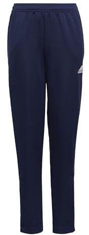 adidas Unisex Kinder Entrada 22 Training Pants, Team Navy Blue 2, 11-12 Years