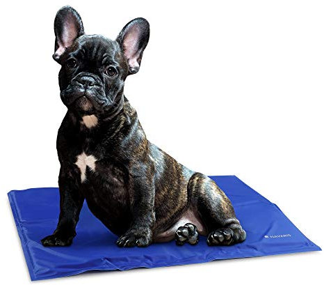 Navaris Kühlmatte Hund Kühldecke Katzen - Abkühlung Kühlmittel für Tiere - Gelmatte für Bett oder Auto - Regulierung der Körpertemperatur - Selbstkühlende Matte 40x50cm