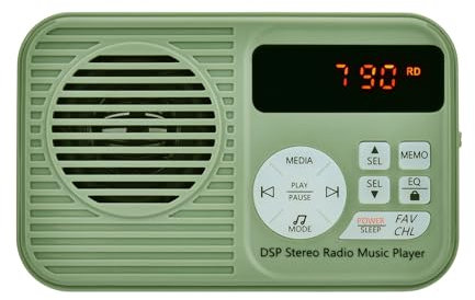 Docooler HanRongDa HRD-231 Radio FM portátil, altavoz inalámbrico BT, tarjeta TF, reproductor de música, radio multifunción con luz LED, conector para auriculares de 3,5 mm, tipo C, recargable, salida