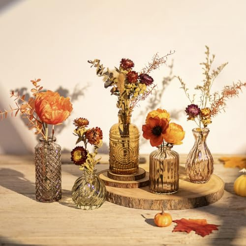 Glasseam Kleine Glasvasen für Tischdeko, Blumenvasen Set für Herbst Deko | 5er Vasen Klein für Trockenblumen, Pflanze, Vase Herbst, Wohnzimmer, Home Party, Geschenk zum Geburtstag, Einweihungsfeier
