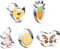 Gexinsely Ausstecher Ostern, 5 Stück Ausstechförmchen Ostern Set,Edelstahl Ausstechformen Osterplätzchen Keksausstecher für Backen, Ei,Hase, Küken, Blume, Schmetterling