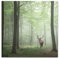 Paul Sinus Art Leinwandbilder | Bilder Leinwand 90x90cm Hirsch im Wald