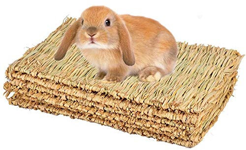 CAMITER Tapis de Lapin, Tapis d'herbe pour Les Lapins, Tapis d'herbe Naturel tissé à la Main pour Petit Animal de Compagnie Jouet à mâcher Lit pour Hamster, Cochon, Lapin et Perroquet - 4 pièces