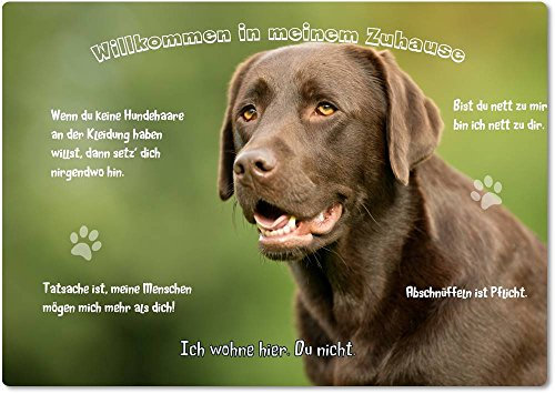 Merchandise for Fans Blechschild/Warnschild/Türschild - Aluminium - 15x20cm - - Willkommen in Meinem Zuhause - Motiv: Brauner Labrador Porträt - 19