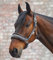 Waldhausen Halfter Elegant, Asphalt, VB