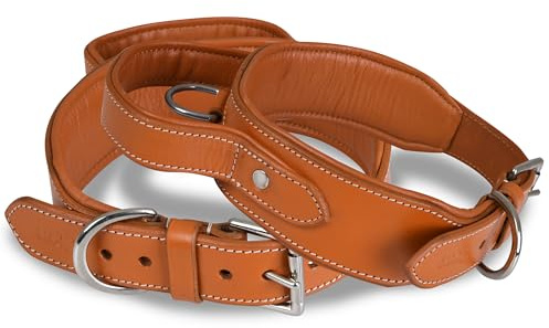 DowgClub | Taktisches Hundehalsband mit Griff | Echtes Leder in Sattelqualität, strapazierfähig, bequem, gepolstert, stark, ideal für mittel, große, XL-Rassen (M (Halsumfang 37-47cm), Héllbraun)