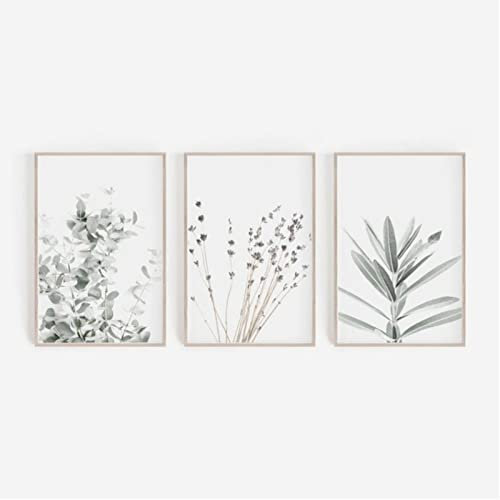 ZOYIEP 3er Poster Set Wohnzimmer - Bilder Deko Schlafzimmer - Lavendel Eukalyptus Pflanze Stilvolle Wandbilder - ohne Bilderrahmen (13 x 18 cm)