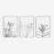 ZOYIEP 3er Poster Set Wohnzimmer - Bilder Deko Schlafzimmer - Lavendel Eukalyptus Pflanze Stilvolle Wandbilder - ohne Bilderrahmen (13 x 18 cm)