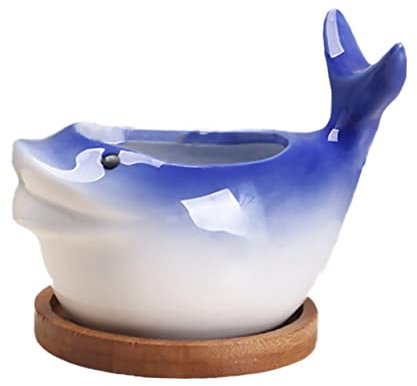 GANAZONO 2St Schnabelwal Blumentopf Schreibtischaufsatz Blumentöpfe für Zimmerpflanzen Blumendekorationen dekorativer Blumentopf Keramiktopf Mini-Bonsaischalen Blumentopf aus Keramik