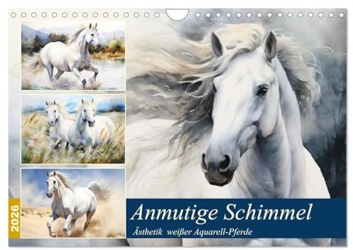 Anmutige Schimmel. Ästhetik weißer Aquarell-Pferde (Wandkalender 2026 DIN A4 quer), CALVENDO Monatskalender: Grazile Eleganz, feurige Seele: Die Magie weißer Pferde (CALVENDO Tiere)