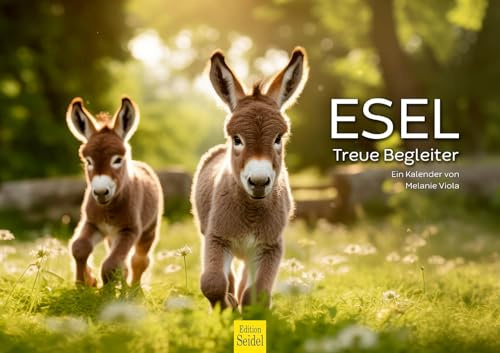 Edition Seidel Premium Kalender Esel Treue Begleiter 2026 Format DIN A3 Wandkalender Eselkalender Stute Hengst Fohlen Melanie Viola