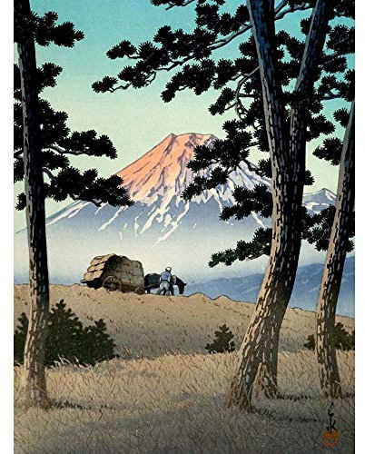 Wee Blue Coo Cultural Nature Landscape Japan Fuji Kawase Hasui Art Print Poster Wall Decor Kunstdruck Poster Wand-Dekor-12X16 Zoll