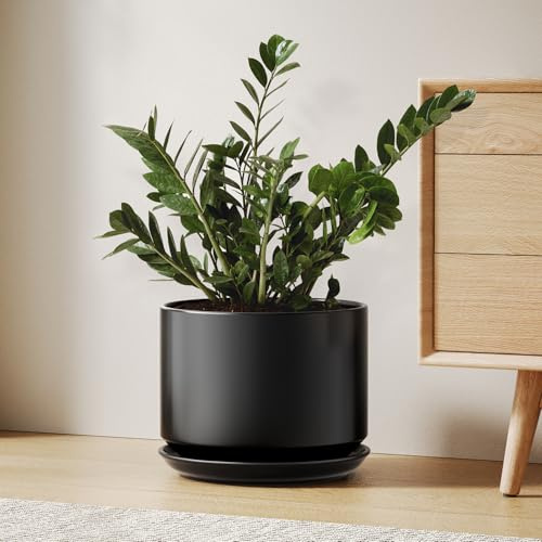 LE TAUCI Maceta de Cerámica de 25 cm con Plato Integrado y Agujero de Drenaje, Macetero Moderno y Minimalista para Plantas de Interior, Negro