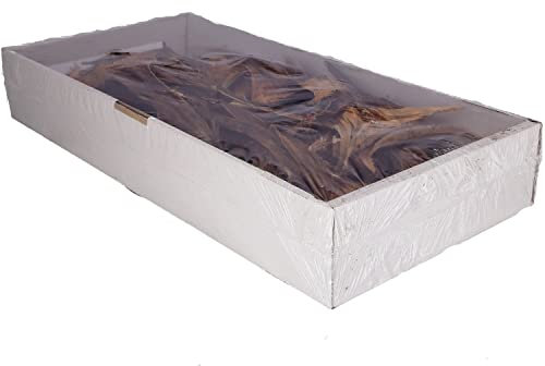 Agave indio grande - Naturaleza - Caja de 1 kg
