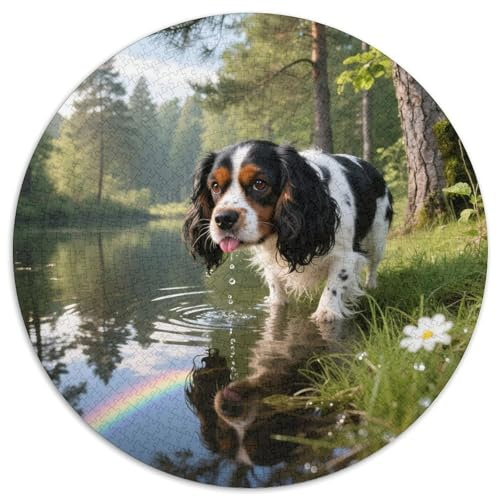 Cavalier King Charles Spaniel 1000 Teile Puzzle Haustier Hund Circular Puzzle Für Erwachsene Und Kinder Pädagogisches Für Erwachsene Kinder Buntes Tier Stressabbau-Spielzeug 1000pcs (67.5x67.5cm)