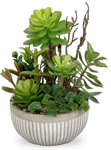 Oairse Small Artificial Succulents Plants Assorted Fake Plants in Cement Pots Fake Potted Plant Decorative Artificial Plants Indoor for Home Bathroom Kitchen Office Living Room Table Shelf Decor