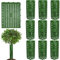 Creperture Lot de 10 Protecteurs De Tronc d'arbre de Plantes Réglables en Plastique D'écorce d'arbre Protecteur pour Semis,38 x 25 cm