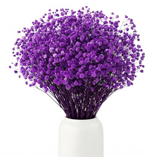 BOSONER Pampasgras Trockenblumen Schleierkraut Getrocknet: Ewige Blumenarrangements Pflegefreie Trockenblumenstrauß Für Hochzeits Deko Schlafzimmer Home Decoration Vase Basteln 120 Gramm (Lila)
