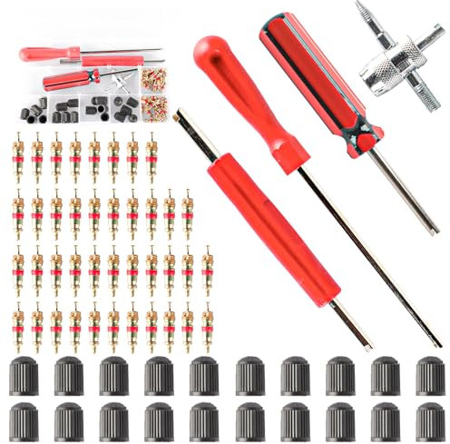 ktxaby 64Pcs Tyre Valve Core Removal Tool,Tyre Valve Repair Kit for Car Bicycle Auto Includes 40 Pcs Valve Cores, 20 Pcs Valve Caps, One 4-Way Valve Tool, 3 Pcs Valve Core Removers