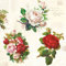20 Servietten Englische Rosen Vintage | Blumen | basteln | Serviettentechnik 33x33cm