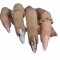 24 pièces/ensemble Faux ongles Ongles en acrylique Ongles couvrants Brillance longue durée Convient aux femmes et aux jeunes filles (Poudre et blanc)