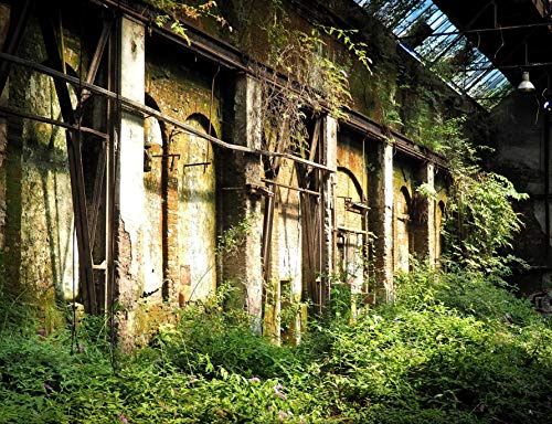 hansepuzzle 65229 - Lost Places Puzzle 1000 Teile - Industrie-Puzzle mit hochwertiger Aufbewahrung: Kartonbox und wiederverschließbarem Beutel - Format 60 × 46 cm