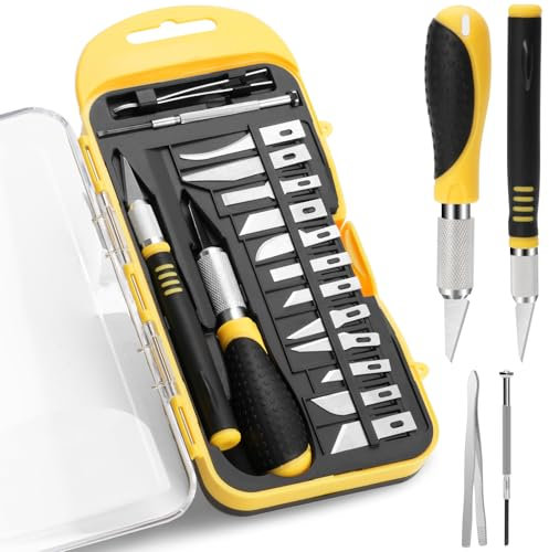 Drado 18pcs Cutter de Précision Couteau, Ensemble Scalpel, Couteau pour Loisirs Créatifs, 2 Couteaux à Découper + 12 Lames + une Pince à Épiler + un Tournevis, DIY