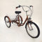 24 Zoll 6-Gang Erwachsene Dreirad mit Lampe 3 Räder Fahrrad mit Einkaufskorb,Wheel Come mit Reflexstreifen Dreirad Fahrrad Verstellbarer Lenker Dreirad ist Geschenk für Freunde oder Eltern kaufen Gold