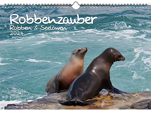 Robbenzauber DIN A3 Kalender für 2024 Robben und Seelöwen - Seelenzauber