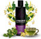 Il Principino Volumen-Shampoo für Hunde und Katzen, ideal für Pudel, Maine Coon, Barbon, Pomeraner, Spitz, Deutscher Schäferhund, mit Hyaluronsäure und botanischen Extrakten, 250 ml