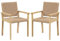 TANGZON Outdoor Armchair Set of 2, Garden Dining Chairs with Fibre Rope Woven Seat & Back, Rubber Wood Patio Leisure Chairs for Garden Poolside Balcony