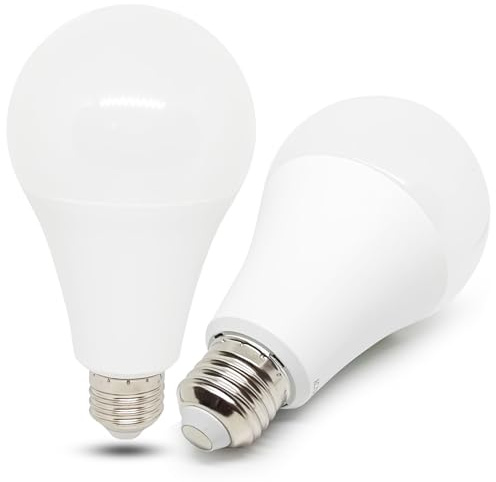 wossluck E27 12V LED 12W Warmweiß 3000K Glühbirne für Wohnmobil Gartenhaus, E27 24 Volt Garagelampe, AC/DC 12V/24V/36V/48V/12V-60V LED Lampe für Garage Kabine, 2er-Set