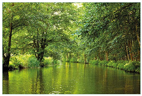 Wallario Küchenrückwand selbstklebend 90 x 60 cm, Motiv: Spreewald in Brandenburg grüne Wälder und Spiegelungen im Wasser | Spritzschutz abwischbar & pflegeleicht