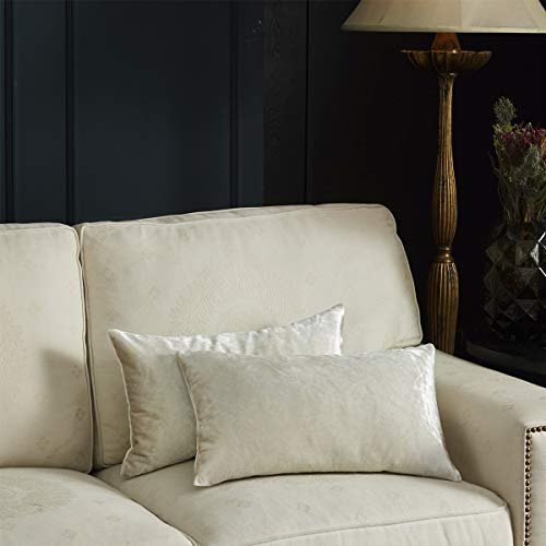 GIGIZAZA Kissenbezug 30x50 cm Kissenbezüge Creme Samt Kissenhülle Zierkissenbezug Dekokissen für Sofa Schlafzimmer Wohnzimmer 2er Set
