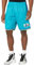 Mitchell & Ness NBA Swingman Shorts 2.0 - Charlotte Hornets, L