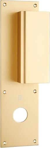 Poignée palière aluminium type Bastille 70x250mm champagne trou de 26 - HERACLES - I-231102TR26