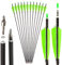 SHARROW 33 Zoll Carbon Pfeile für Bogenschießen Carbonpfeil Spine 400 Jagd Pfeile Carbon Jagdpfeile mit 4 Zoll Natürliche Federn Pfeile für Pfeil Bogen Recurvebogen Compoundbogen (grün, 12p)