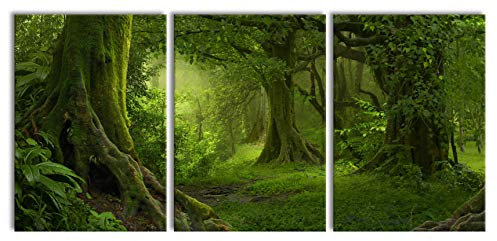 Pixxprint Dschungel im Regenwald als XXL Leinwandbild in Übergröße 210x100cm Gesamtmaß 3 teilig, Wandbild, Kunstdruck