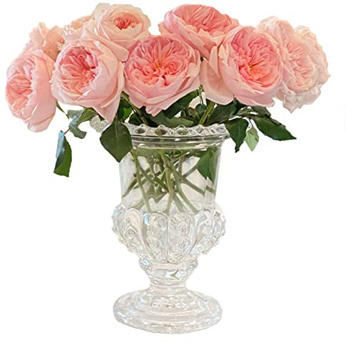 Tuzsocr Vases en Verre Vintage,Vase decoratif Design Transparent,Vases Décoratifs en Forme de Cylindre,Vase Floral pour Mariage,pour Fleurs, Table,centres de Table,décoration d'intérieur,Mariage (S)