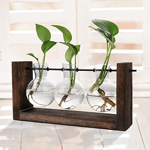 Terrarium pour Plantes avec Support en Bois, Station de Propagation de Table, Vase de Jardinière Hydroponique en Verre, Jardinière à Air, Vase en Verre avec 3 Bouteilles de Bourgeons pour(brun)