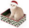 Conlun Rascador para Gatos con Caja, Duradero Rascador Gato de Cartón, Doble Cara, Agujeros Interactivos, Diseño Antisuciedad, Juguete para Gatitos (1 Unidad, Mediano, Cuadros)