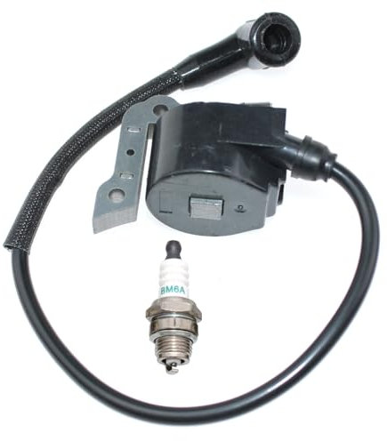 ICOOYO Bobina di accensione per Oleo-Mac 956 962 965 TT162 Efco 156 162 165 TT962 50022007BR (vecchia versione)