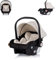 Chipolino Babyschale Amore i-Size Gruppe 0+ (0-13 kg) Kissen Griff verstellbar, Farbe:creme