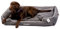 daily choice - Kuschelkoje Classic dunkelgrau - Gr. L