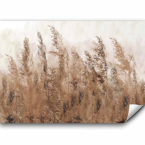 murando - Fototapete Vlies Pampasgras, 500x350 cm, Schlafzimmer, Wohnzimmer | Full HD Druck, 3D-Effekt, lichtbeständige Farben, ideal fürs Wohn- oder Schlafzimmer, schnelle Montage, lichtbeständig, edel