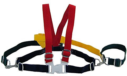 Asmi Laufgurt Sicherheitsgurt Anschnallgurt Schutzgurt (blau/rot/gelb)