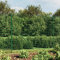 SECOLI Maschendraht mit Einschlaghülsen Maschendrahtzaun Set Absperrzaun Gartenzaun Set Komplettset Zaun Gartenzaunset Zaunset Drahtzaun Maschendraht-Grün-2.2 x 25 m-2