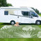 Capslpad Outdoor Teppich Wetterfest 270x365cm Faltbar Reversible Kunststoff Strohmatte Wendematte Tragbarer Campingbereich Teppiche Gegend Teppich für Picknick RV Terrasse Garten Strand, Salbeigrün