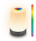 Briloner - Riffle lampada da terra senza fili IP44 touch, dimmerabile, funzione memoria, piantana a batteria, Bianco Caldo, RGB, vincitore del German Design Award 2025, 19x124cm, 13 cm, Nero