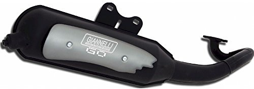 Auspuffanlage Giannelli Go mit ABE für Honda